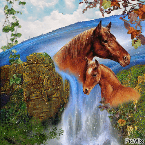 Dreamy horses - Ingyenes animált GIF