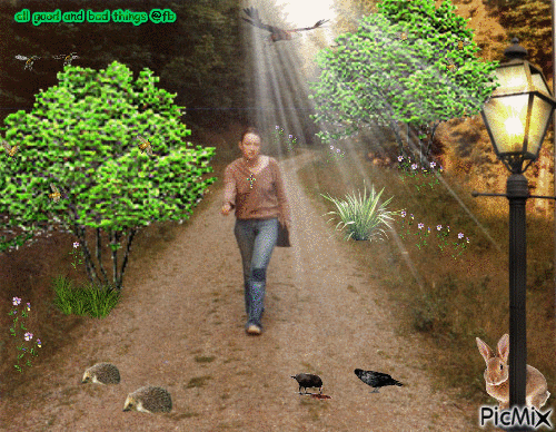 walking wood tree lamp raven animals eagle rabbit light - Безплатен анимиран GIF