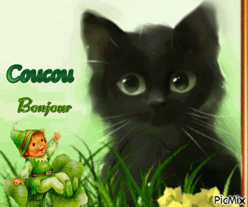 Coucou , bonjour - Darmowy animowany GIF