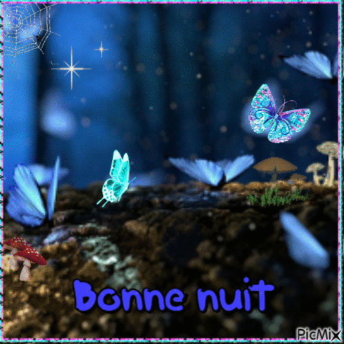 Bonne nuit - Darmowy animowany GIF