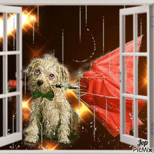 Petit chien dans la pluie - Animovaný GIF zadarmo
