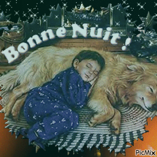 bonne nuit mes amies(is) bis - Darmowy animowany GIF