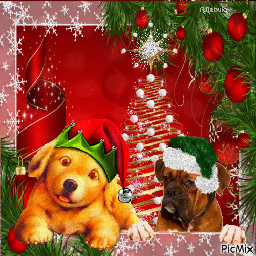 Fictional Christmas Dog/contest - Бесплатни анимирани ГИФ