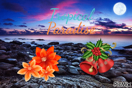 tropical paradis - Безплатен анимиран GIF
