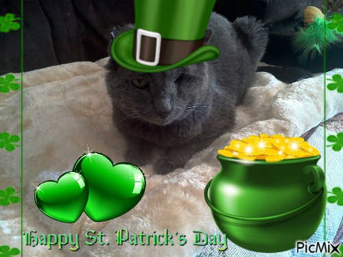 ST. PADDY'S DAY NORRY - bezmaksas png