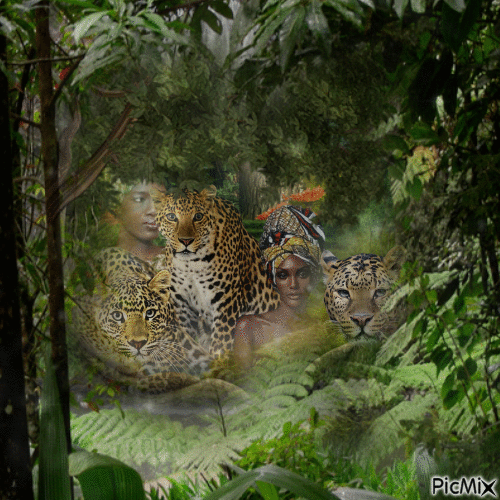 La belle forêt aux léopards - Gratis animerad GIF