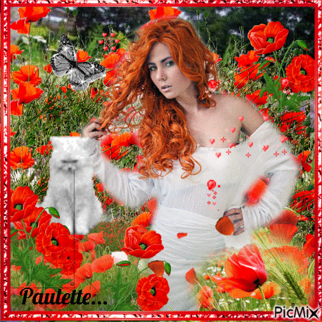 femme aux coquelicots - Free animated GIF