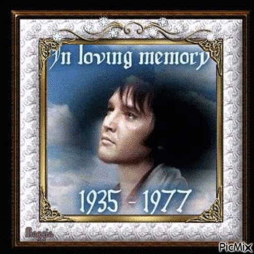 in loving memory - Free animated GIF