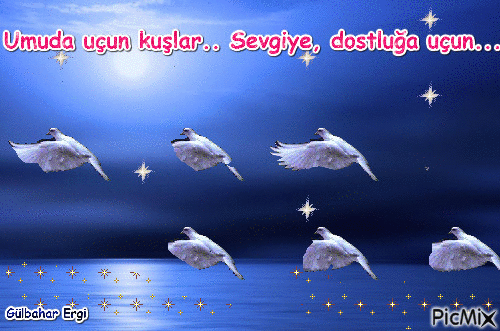 Uçan kuşlar - Zdarma animovaný GIF