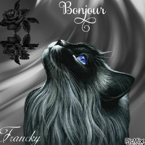 Magnifique Francky je partage 💖💖💖 - Безплатен анимиран GIF
