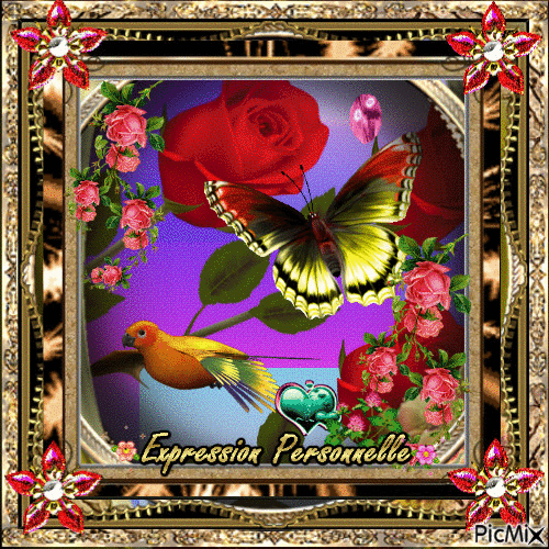 butterfly and frame - Ingyenes animált GIF