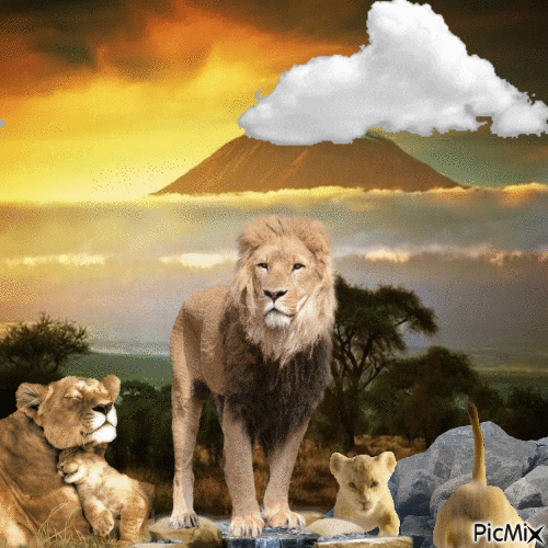 LIONS - GIF animado gratis