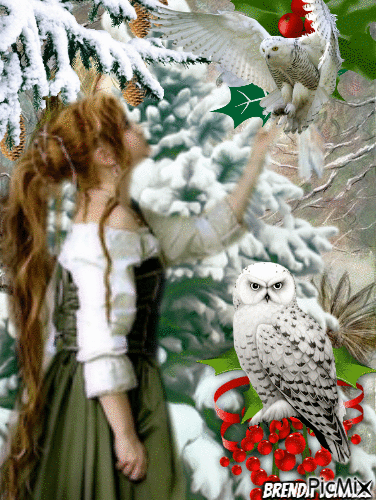 winter owl - Бесплатный анимированный гифка
