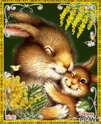 Hare and baby hare. - Free animated GIF