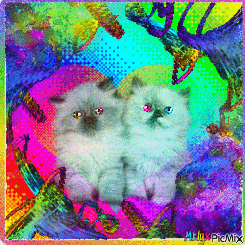 pride LGBT  sweet cats - Animovaný GIF zadarmo