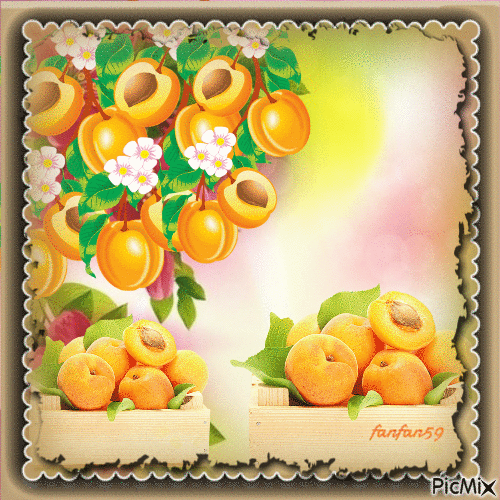 Les abricots - Бесплатный анимированный гифка