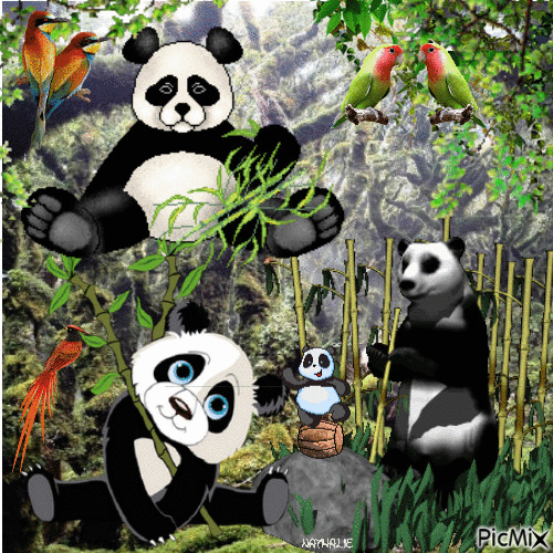 PANDA Y PÁJAROS TROPICALES - GIF animado grátis