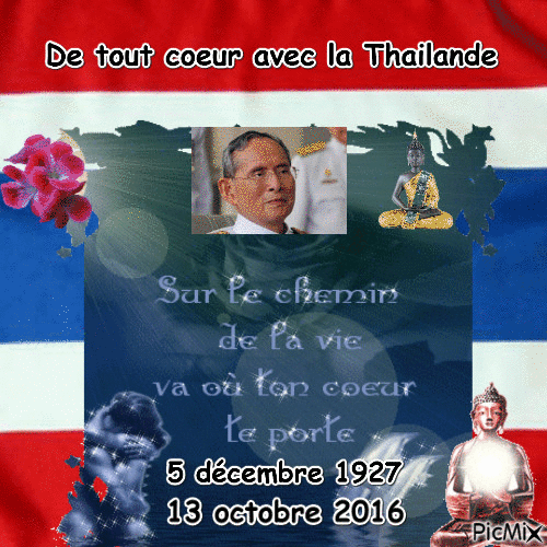 Roi Bhumibol Adulyadej - Free animated GIF