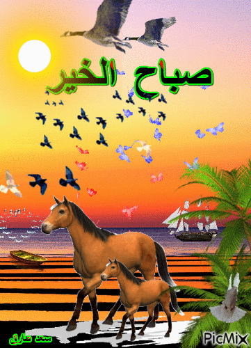 صباحكم سعيد - Ingyenes animált GIF