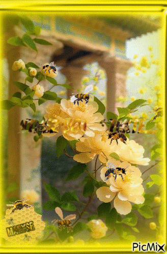 abeilles - GIF animé gratuit