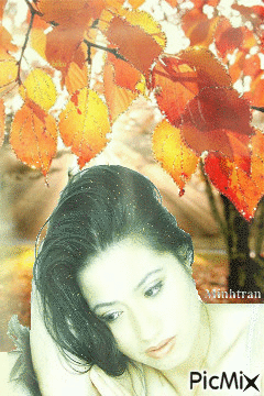 Autumn - Безплатен анимиран GIF