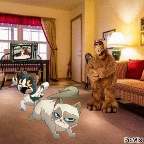 Grumpy cat,Pokey and ALF - Zdarma animovaný GIF