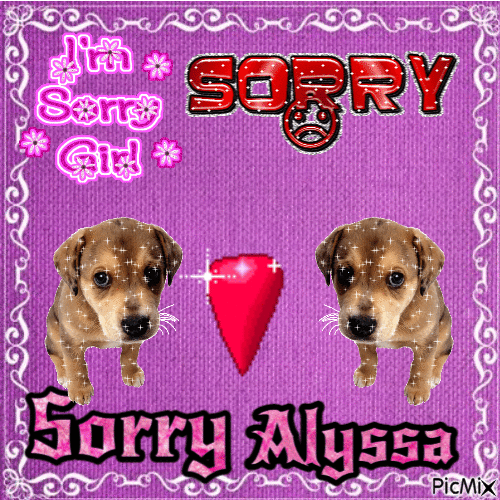 sorry alussy - Безплатен анимиран GIF