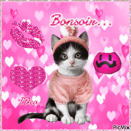 Bonsoir les chatons - Δωρεάν κινούμενο GIF
