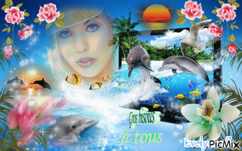 bisous des dauphins - Free animated GIF