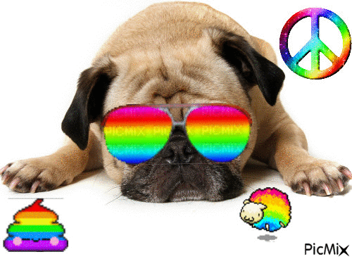 multicolor dog - GIF animado gratis