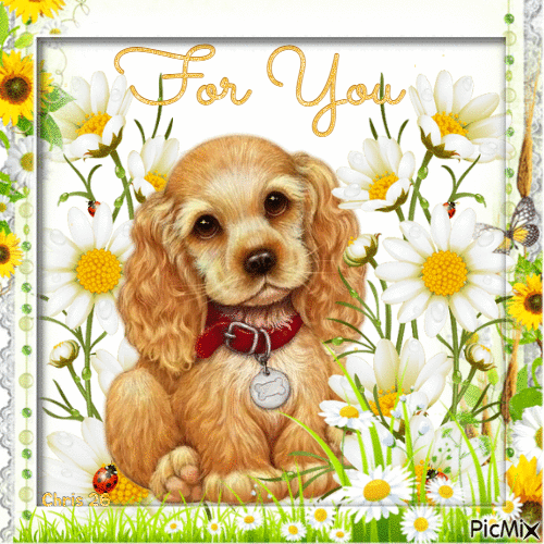 CONTEST - Vintage dog, daises "for you" text - Darmowy animowany GIF