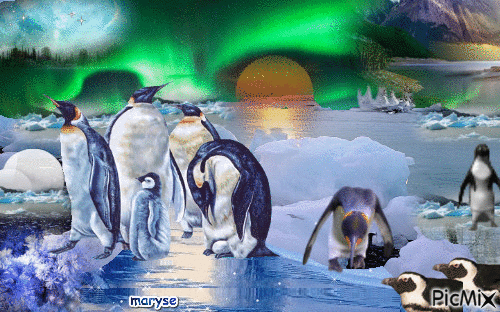 aurore boreale - Bezmaksas animēts GIF