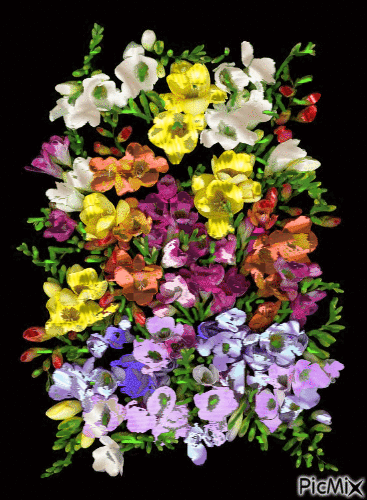 kvety - Ilmainen animoitu GIF