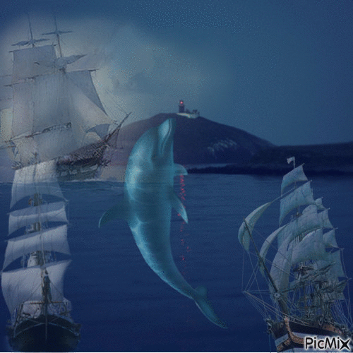 dolphins - Animovaný GIF zadarmo