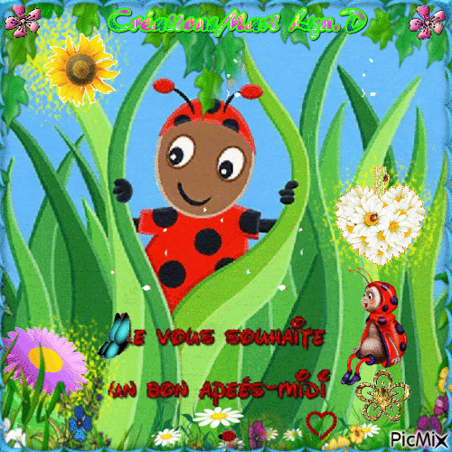 COCCINELLES/MARY - GIF animate gratis
