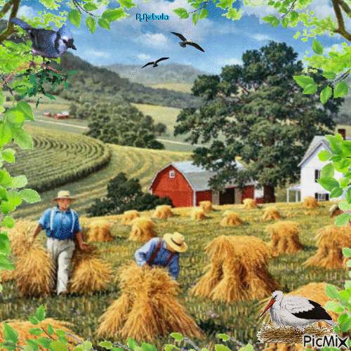 Straw harvest as it used to be/contest - 免费动画 GIF