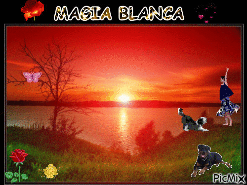 MAGIA BLANCA - GIF animasi gratis