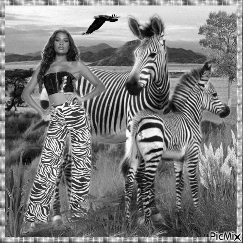 Frau und Zebra - Darmowy animowany GIF