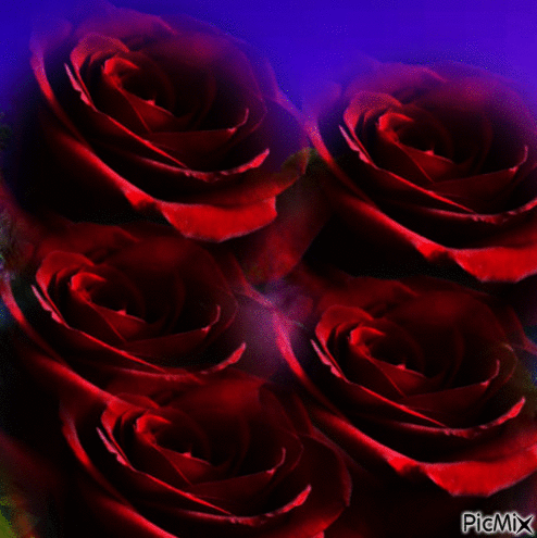 розы! - Animovaný GIF zadarmo