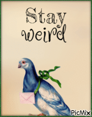 Stay weird - Ilmainen animoitu GIF