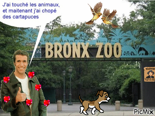 fonzie au zoo - Бесплатный анимированный гифка