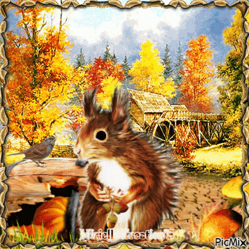 ☆𝕸𝖎𝖗𝖎𝖊𝖑𝖑𝖆 ☆ Un joli  écureuil ! - GIF animado grátis