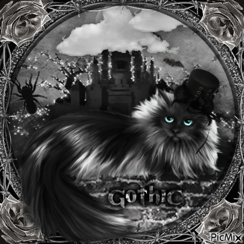 Gothic Cat-RM-07-12-23 - GIF animado grátis
