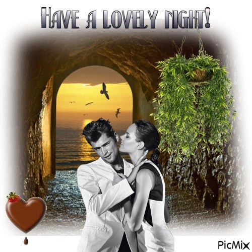 Have A Lovely Night! - PNG gratuit