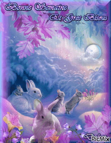 petits lapins - Безплатен анимиран GIF