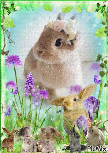adorable lapin avec sa  couronne  fleur - Free animated GIF