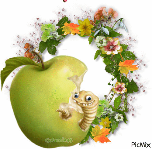 jablko - Darmowy animowany GIF
