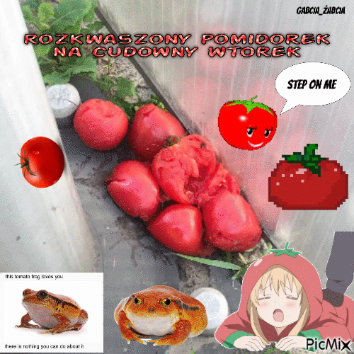 rozkwaszony pomidorek na cudowny wtorek - Gratis animeret GIF