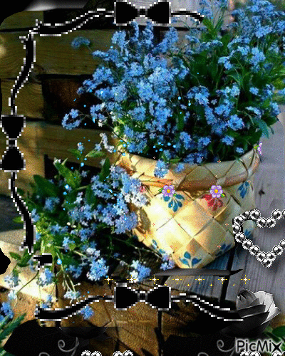 blue roses - Gratis geanimeerde GIF