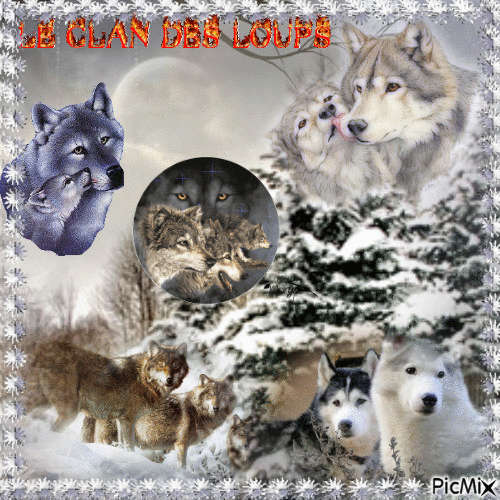 Collage de loups en Hiver - GIF animate gratis